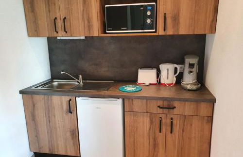 Les Rives du Lac de Léon - Foto 21