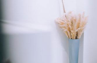 Haus im Weinland - Ihringen - Foto 20