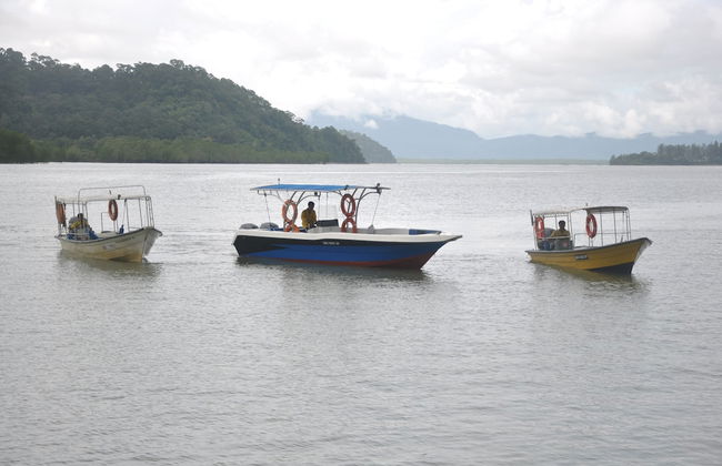 Permai Rainforest Resort - Foto 28