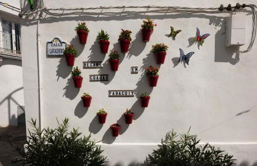 Comeback el Rinconcito de Guajar - Foto 26