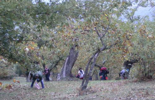 Agriturismo La Casina - Foto 27