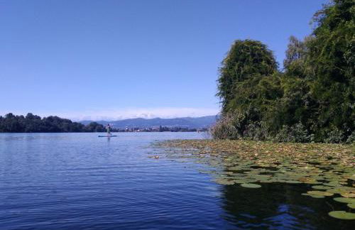 CASA DEL LAGO - Foto 1