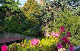 BeatrixHome Oasi verde in città - Foto 32