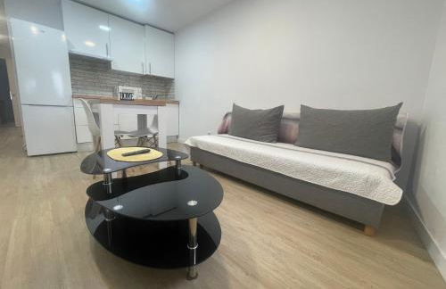 Céntrico apartamento muralla 2 - Foto 1