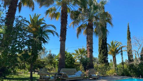 Fazenda do Sul - Foto 5