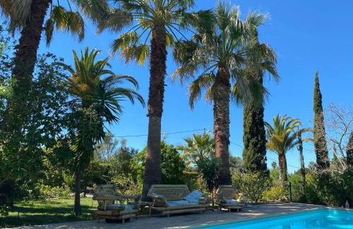 Fazenda do Sul - Foto 5