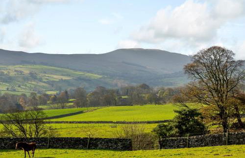 Griff Head Cottage - Foto 24