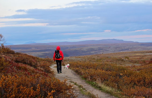 Bjørnfjell Mountain Lodge - Photo 43