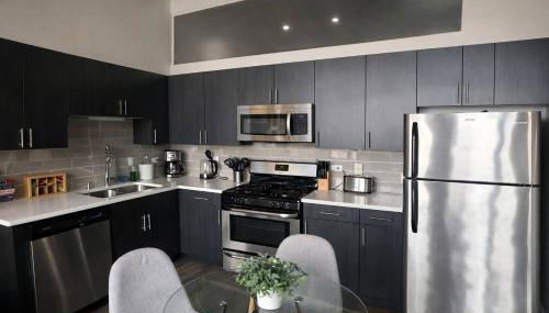 Spacious South Loop 2BR Apartment Near McCormick Place, Soldier Field & Downtown Chicago - Foto 4