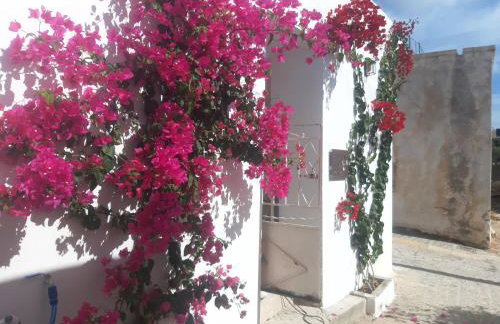 LILIUM HOUSE PALEKASTRO - Foto 72