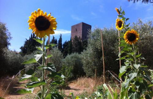 Torre dei Belforti - Foto 66
