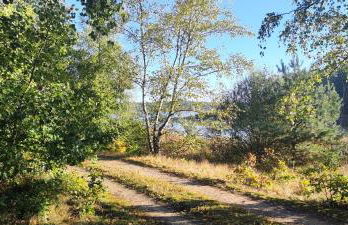 Kleine Freiheit- Nummer 1 - Foto 8