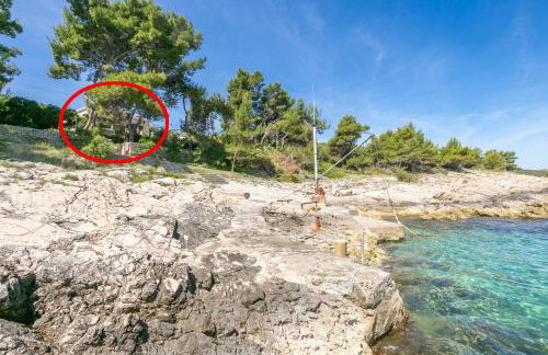 Secluded fisherman's cottage Cove Fabrice, Solta - 8692 - Foto 2
