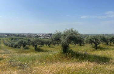 A casa dos Avós - Foto 20