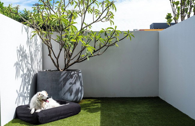 Quest Robina - Foto 36