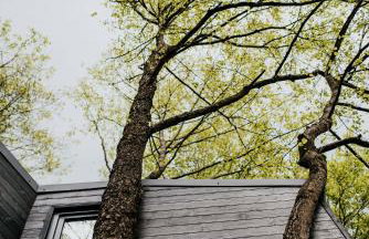 Dziki Las - domki na drzewach - Foto 28