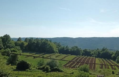 Guesthouse Marija - Foto 34