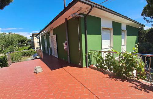 Villaedi - Photo 16