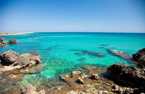 Pino Resort with shared pool - Foto 8