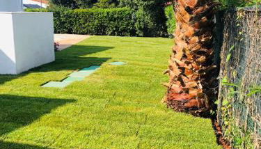 Villa sul mare Rosa Marina - Foto 3