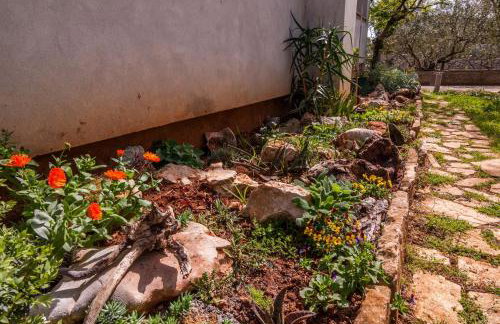 Apartments Cvita Ugljan - Foto 9