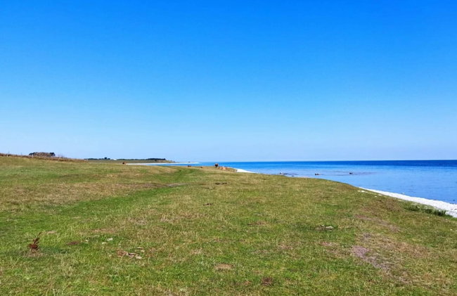 4 Person Holiday Home in Grenaa - Foto 28