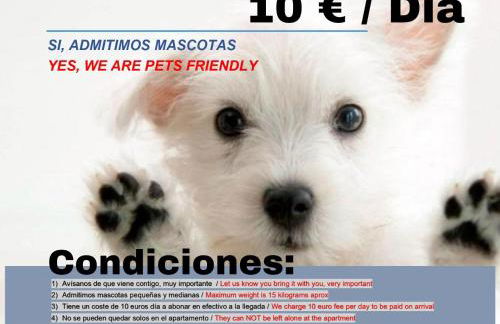 www apartamentovaldivia es Parking incluido - Foto 7