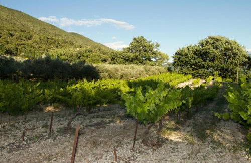 Mas provençal La Serallère au coeur des oliviers - Foto 15