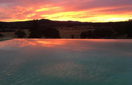 Almojanda 3 olive tree - Foto 13