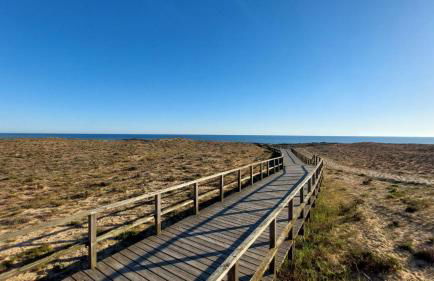 Cantinho do Mocho - Villa com piscina centro do Algarve - Foto 36