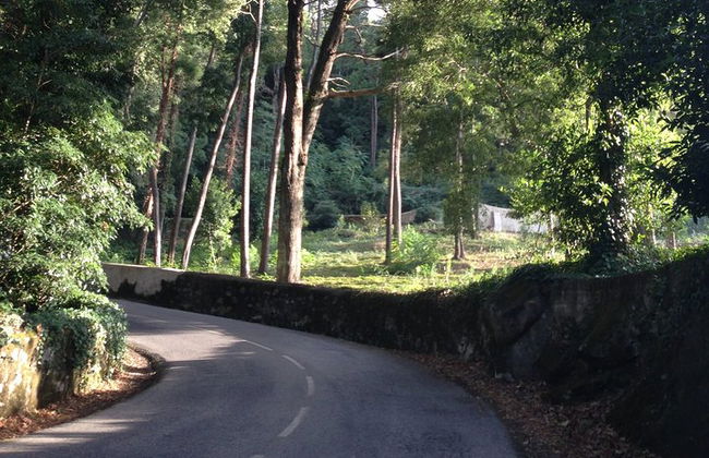 SINTRA Tagesausflug - Tickets & Mittagessen inklusive - Foto 18