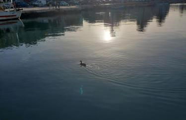 1820 Marè - Foto 54