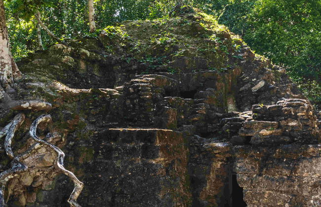 El Mirador & El Tintal: 5 Day Hiking Tour - Foto 4