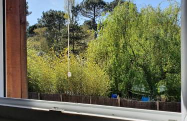 Maison entre lac et forêt - Foto 36