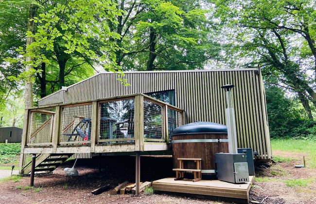 Etape en forêt - Foto 43