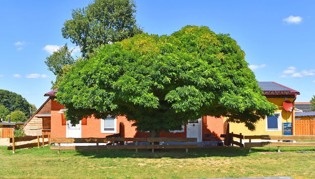 Ferienwohnung am Oase am Vilzsee - Foto 2, Imagen principal