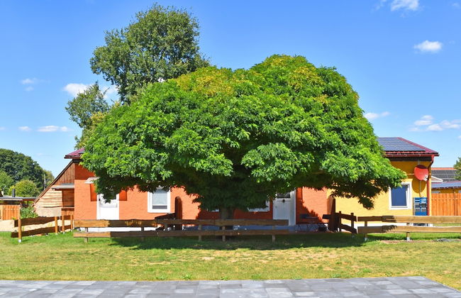 Apartment in Mirow by Lake Vilzsee - Photo 28