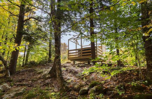 Geodome 1min to Smuggler's Notch with hot tub & River - Foto 33