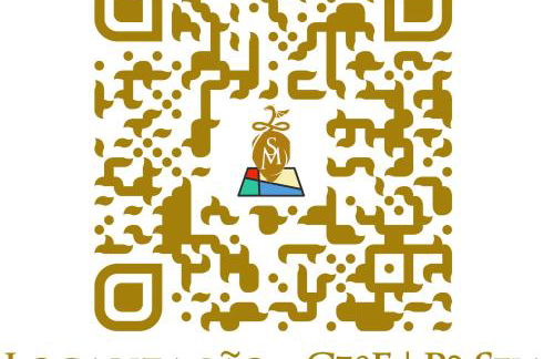 Solar de Maceira - Foto 28