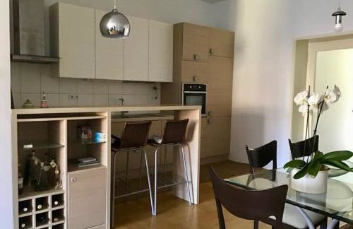 Spacious 3BR/2BT Apartment with A/C in City Center - Photo 4