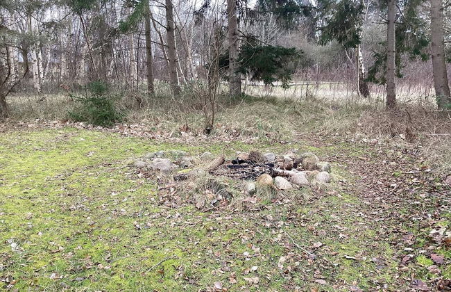 12 Person Holiday Home in Rodby - Foto 22