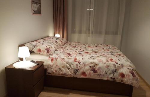 Solankowa Aleja - Foto 6