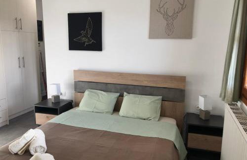 Παραδοσιακό σπίτι με τζάκι - Foto 19