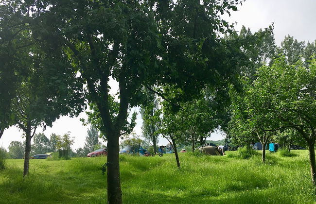 Cotswolds Camping at Holycombe - Foto 53