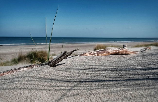 Reihenhaus mit Wlan in Buchholz am Muritzsee - Foto 42