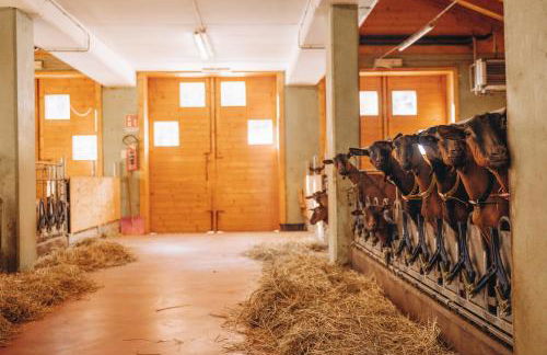 Les Chalets de Pierrot - Foto 45