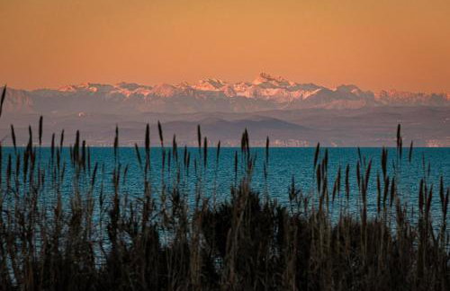 Apartments in Umag - Istrien 12071 - Foto 22