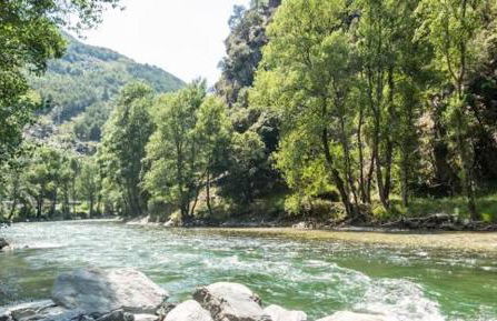 Apartaments Sort Pirineus - Foto 49