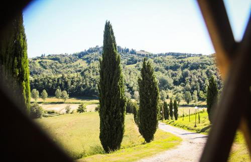 Colle Bertini - Foto 43