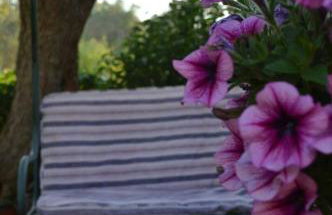 Sunny Garden - Foto 21